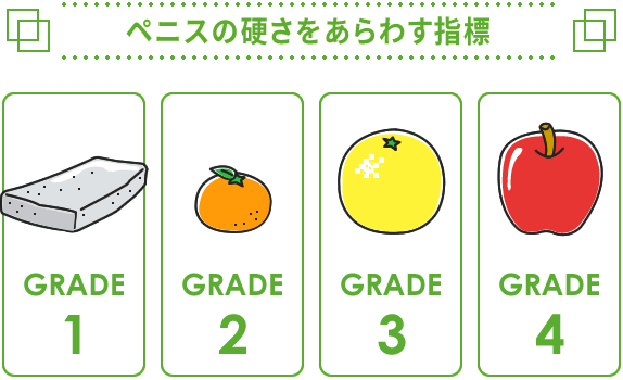 勃起の硬さをあらわす指標